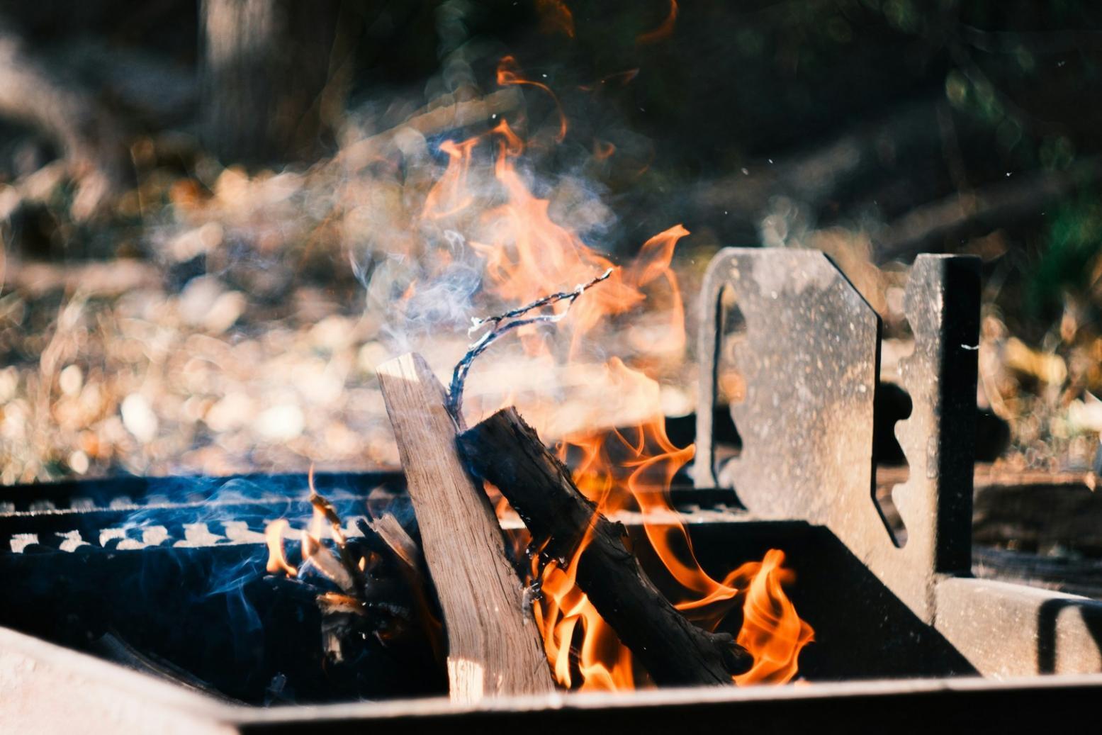 Cuisine végétale créative avec ingrédients frais et colorés